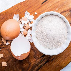 Eggshell Powder Manufacturer & Bulk Supplier