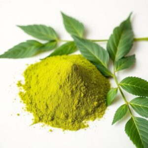 Moringa Extract Powder