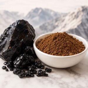 Shilajit Extract Powder