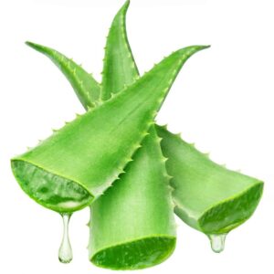 Aloe Vera Gel Concentrate