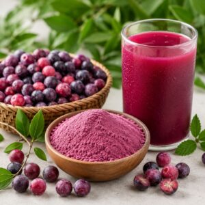 Phalsa Juice Powder Spray Dried